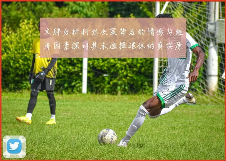 文胖分析科尔决策背后的情感与经济因素探讨其未选择退休的真实原因